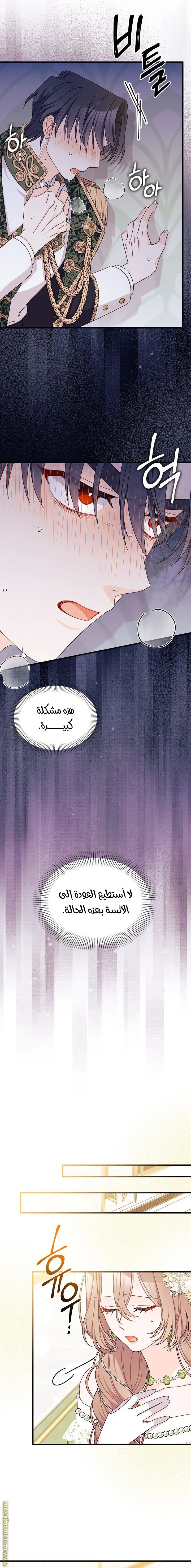 الصفحة 17
