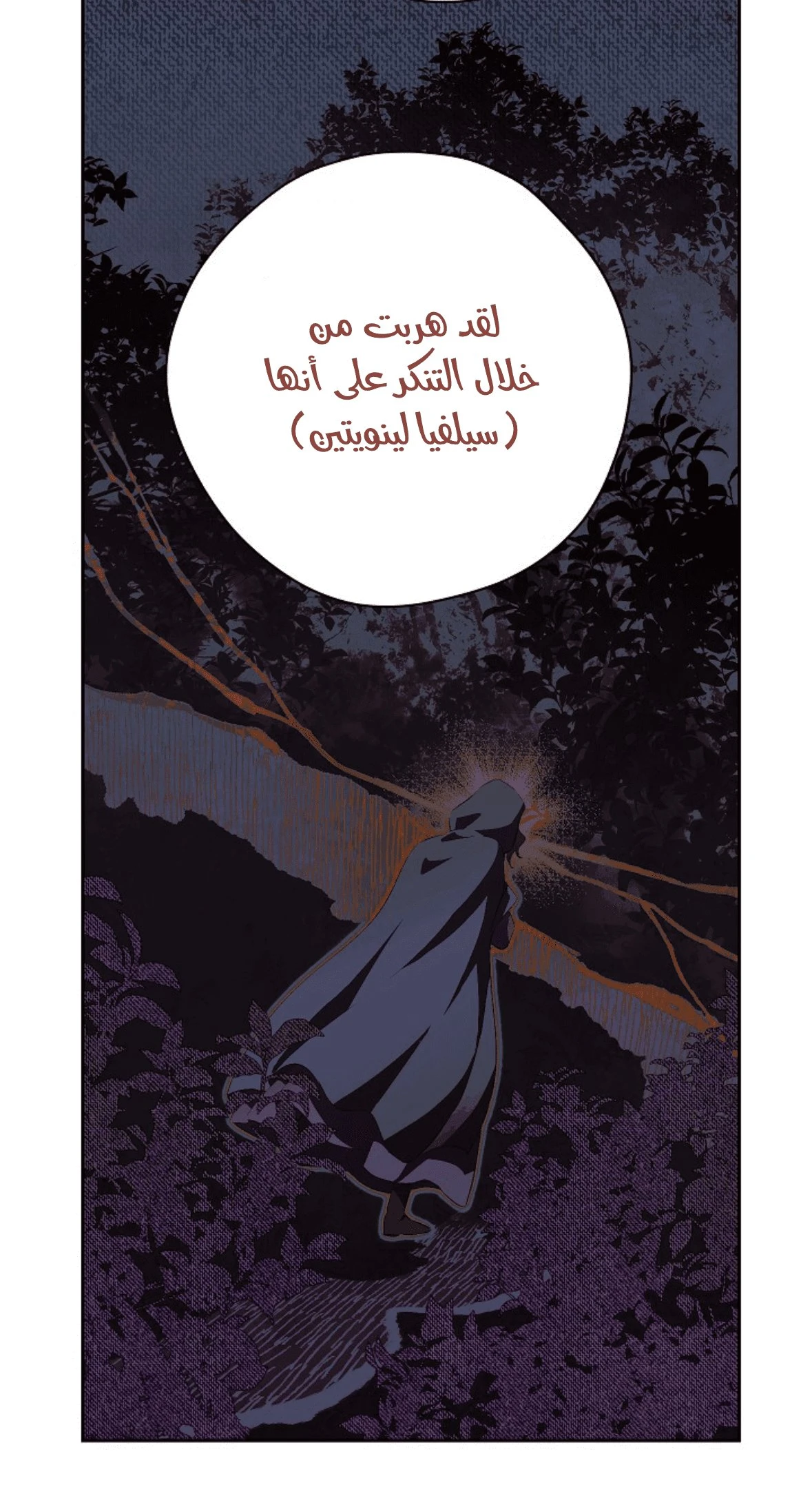 الصفحة 25