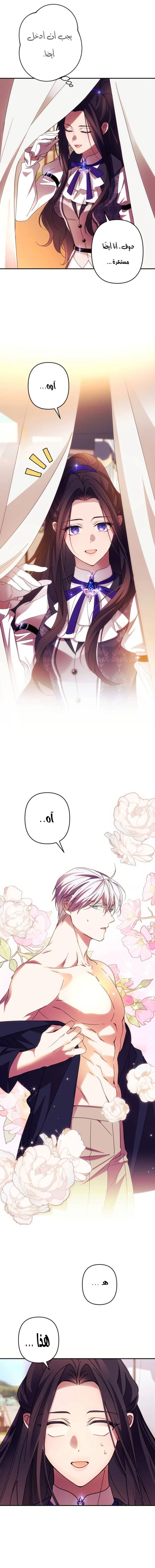 الصفحة 11