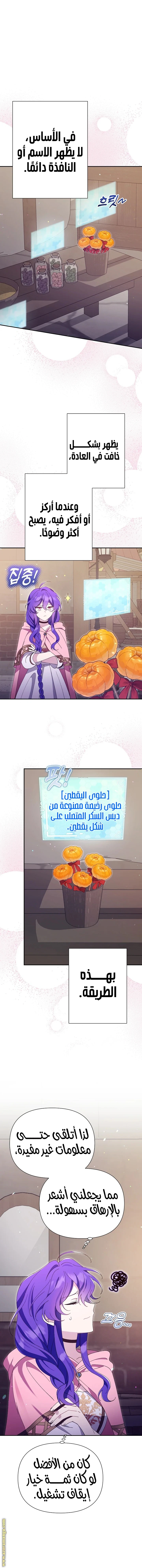 الصفحة 12