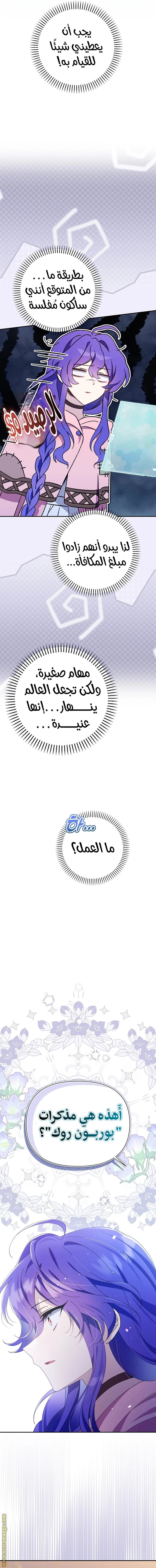 الصفحة 17