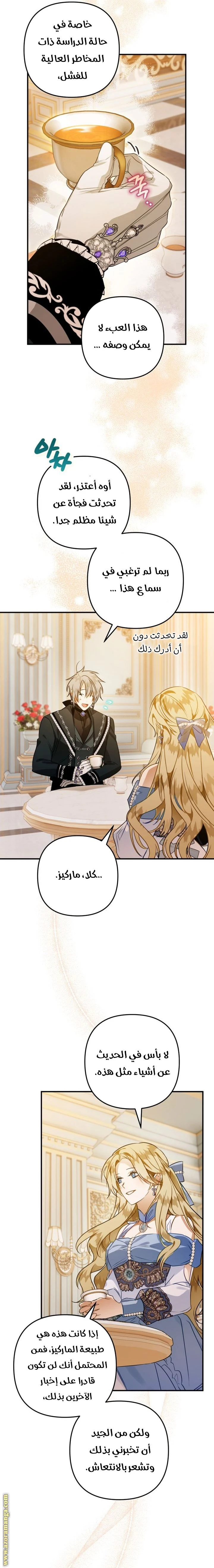 الصفحة 13