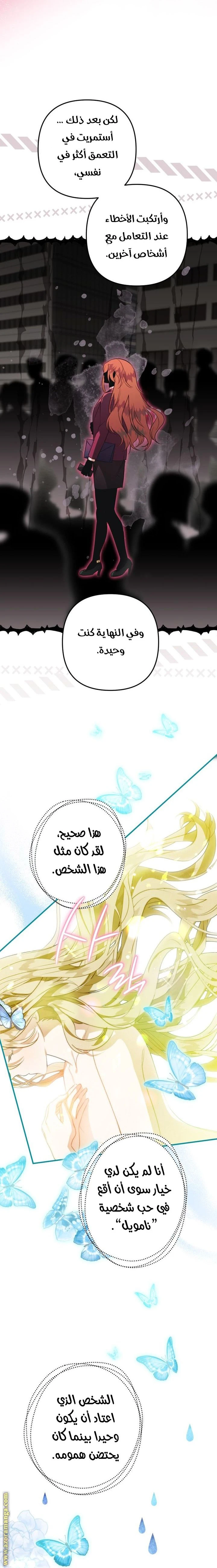 الصفحة 17