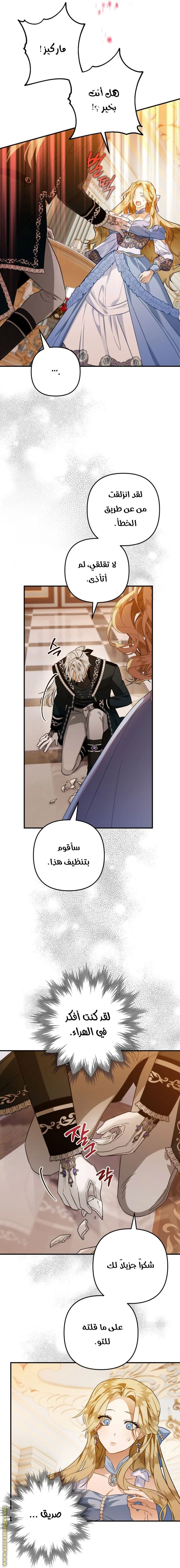 الصفحة 21