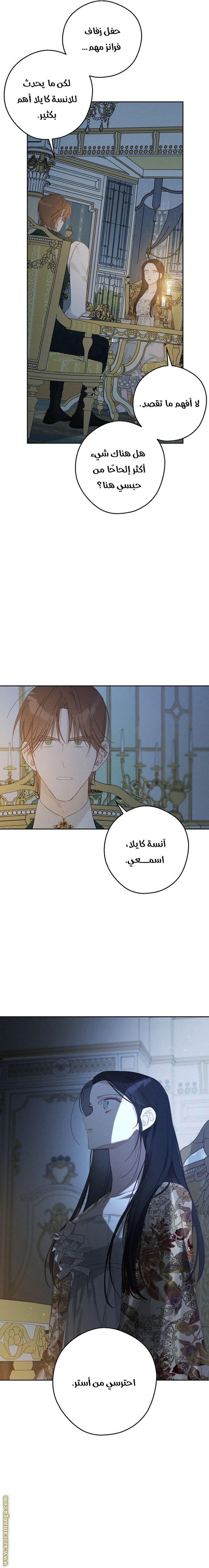 الصفحة 13