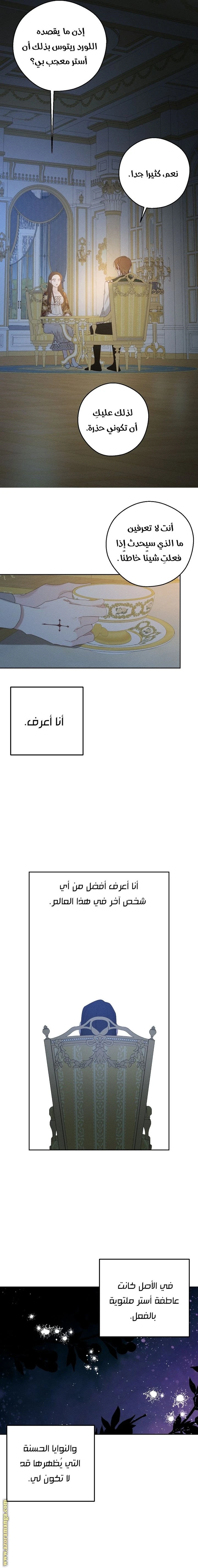 الصفحة 15