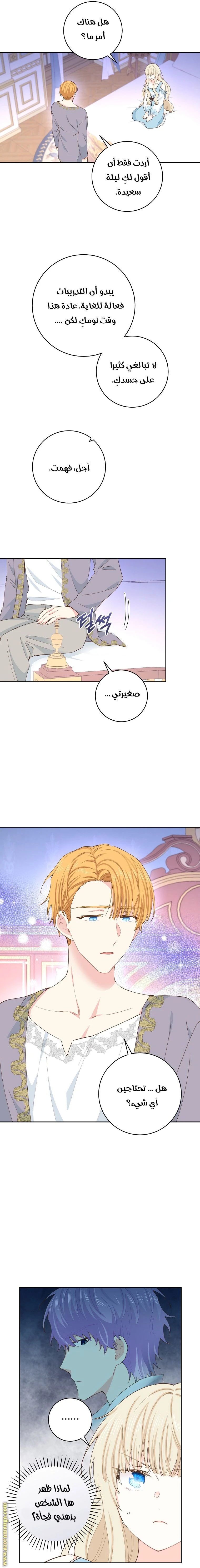 الصفحة 11