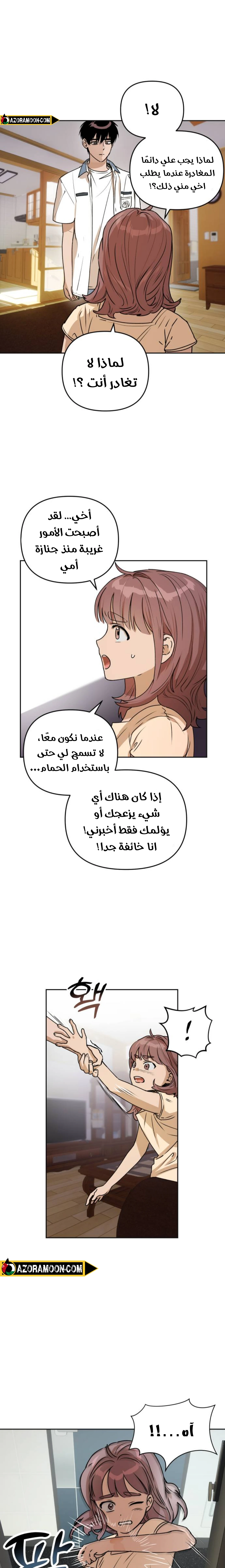 الصفحة 17