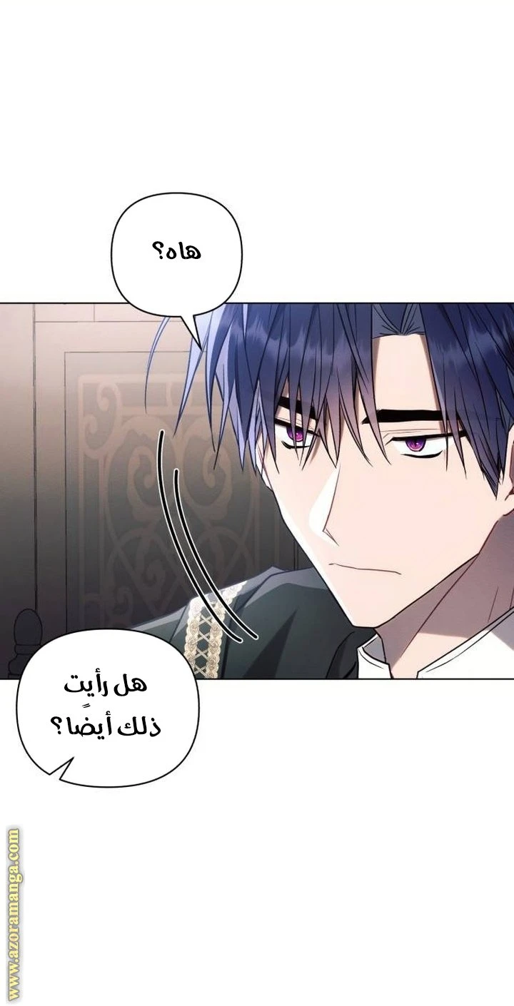 الصفحة 25