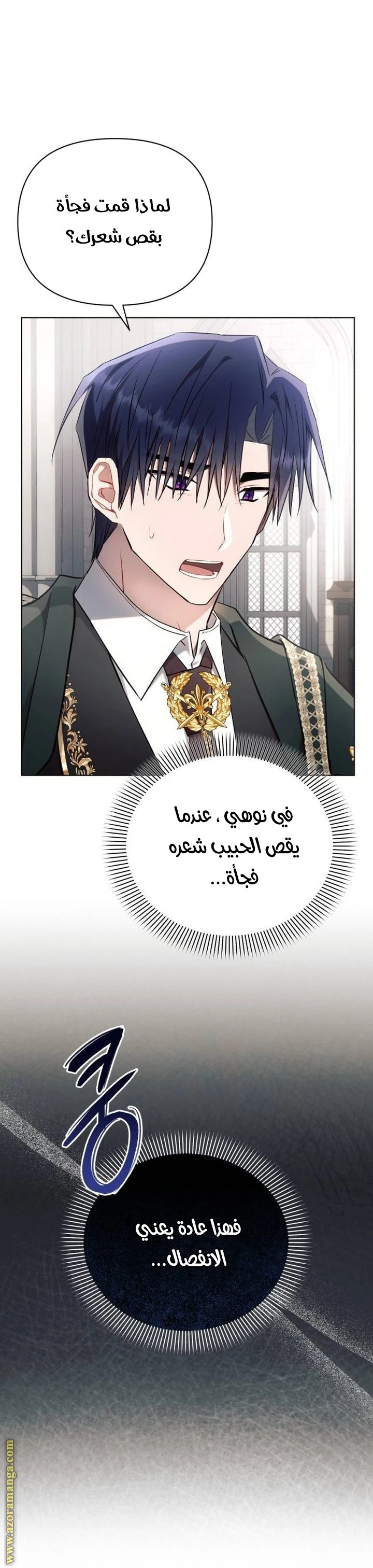 الصفحة 33