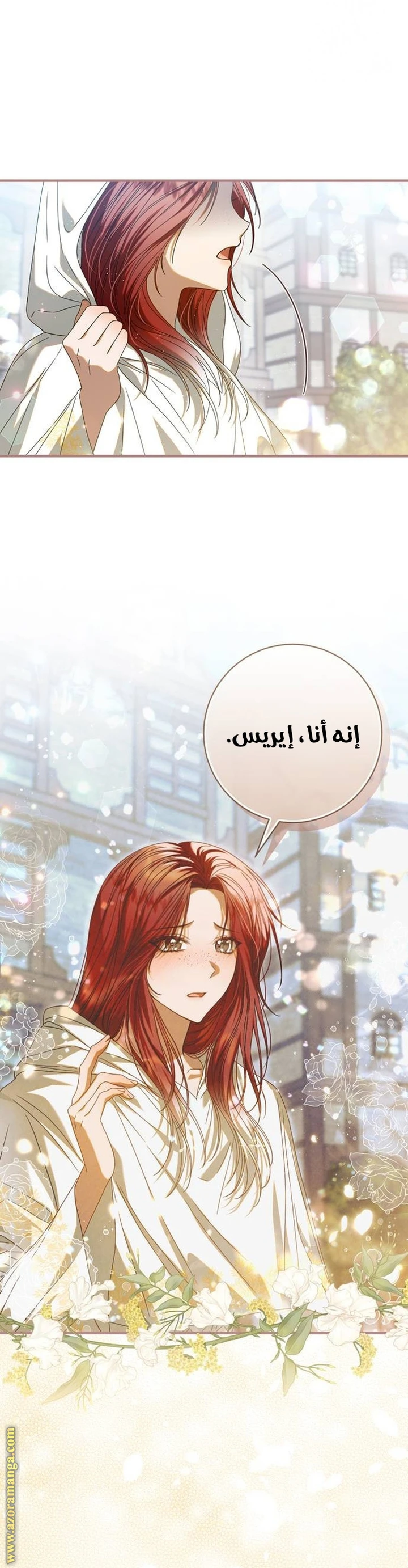 الصفحة 29