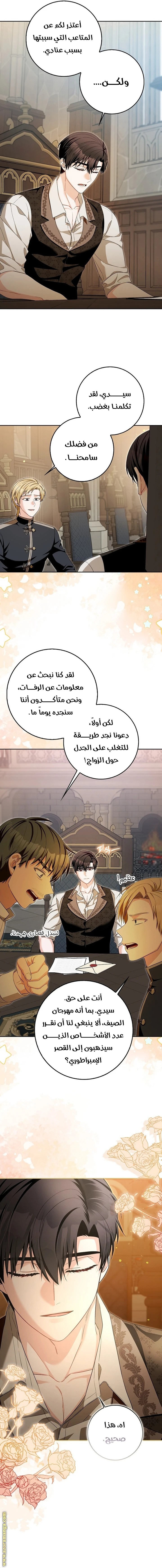 الصفحة 17