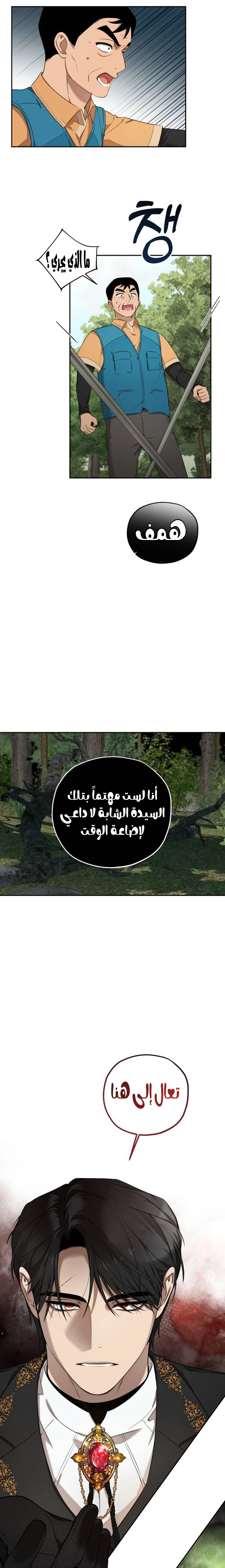الصفحة 17