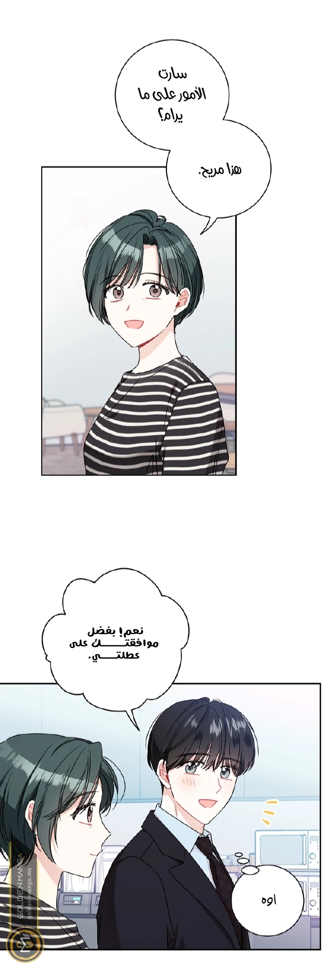الصفحة 12