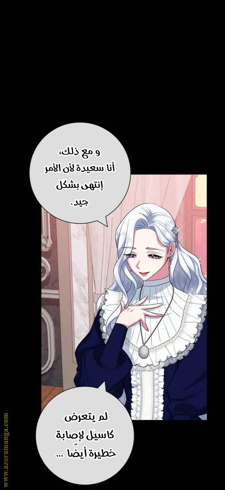 الصفحة 25