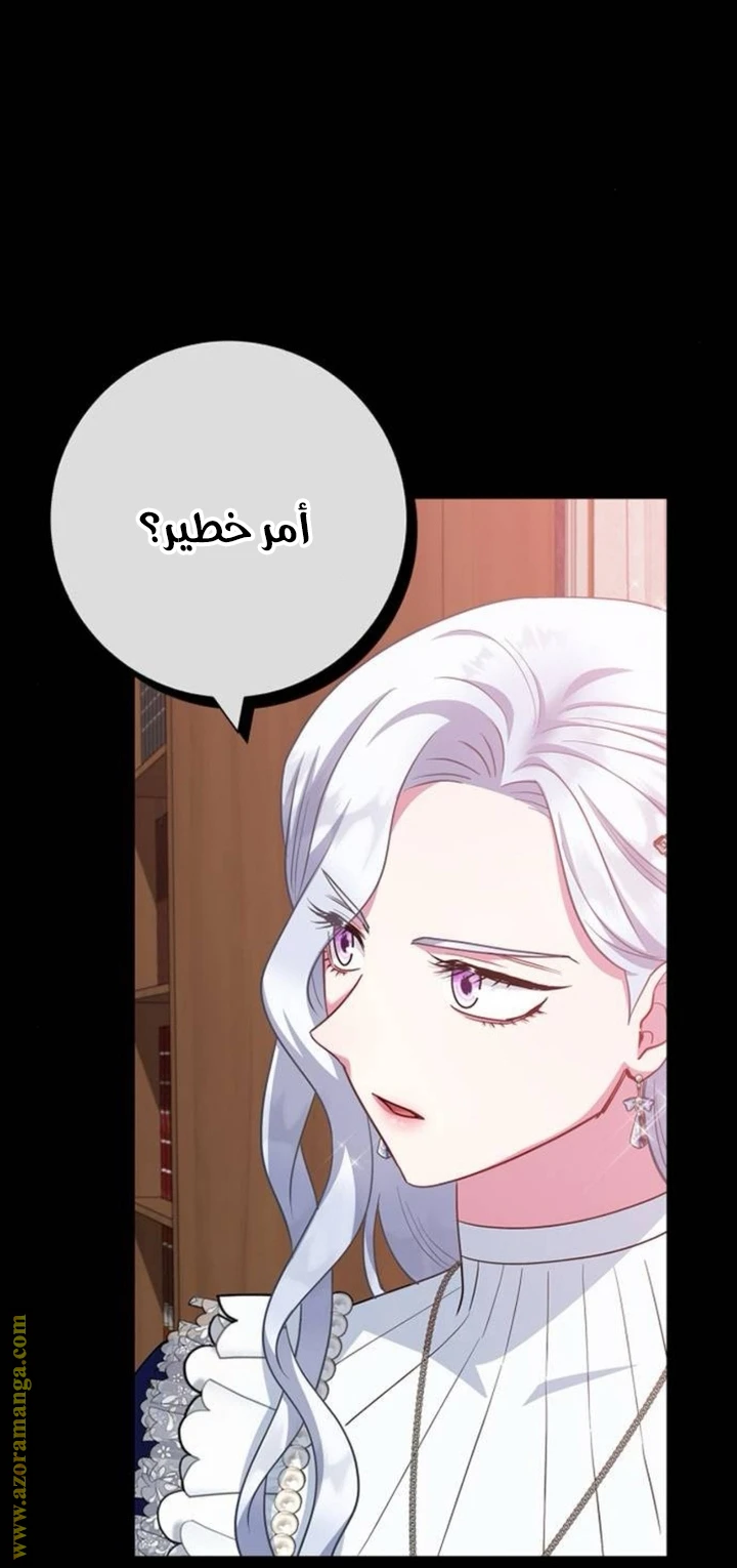 الصفحة 27
