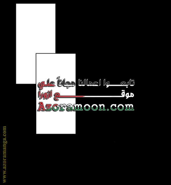 الصفحة 43