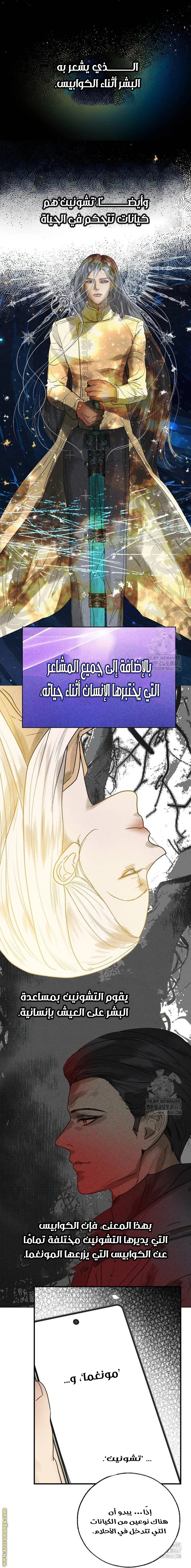 الصفحة 17