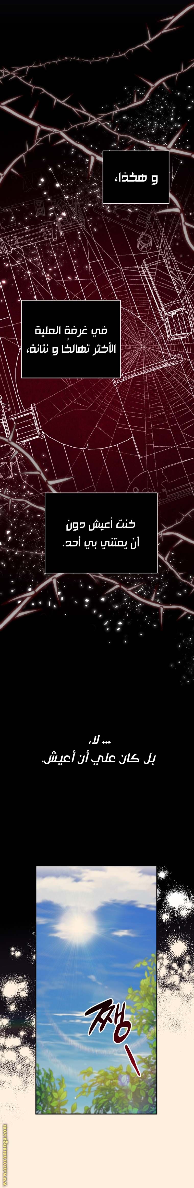 الصفحة 19
