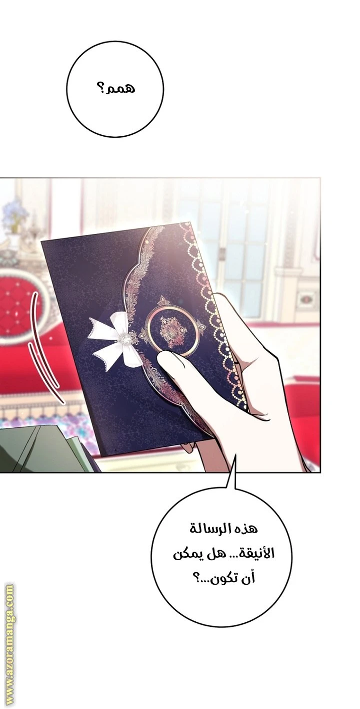 الصفحة 27
