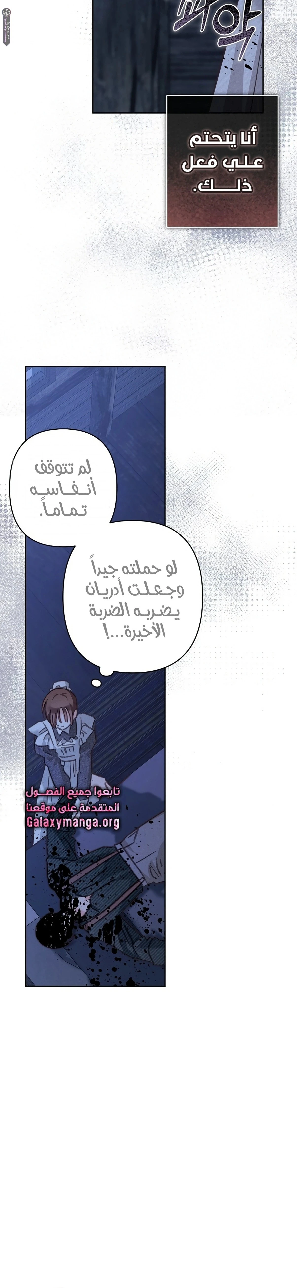 الصفحة 17