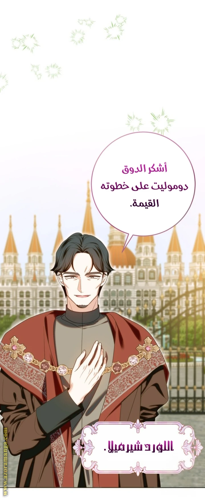 الصفحة 17