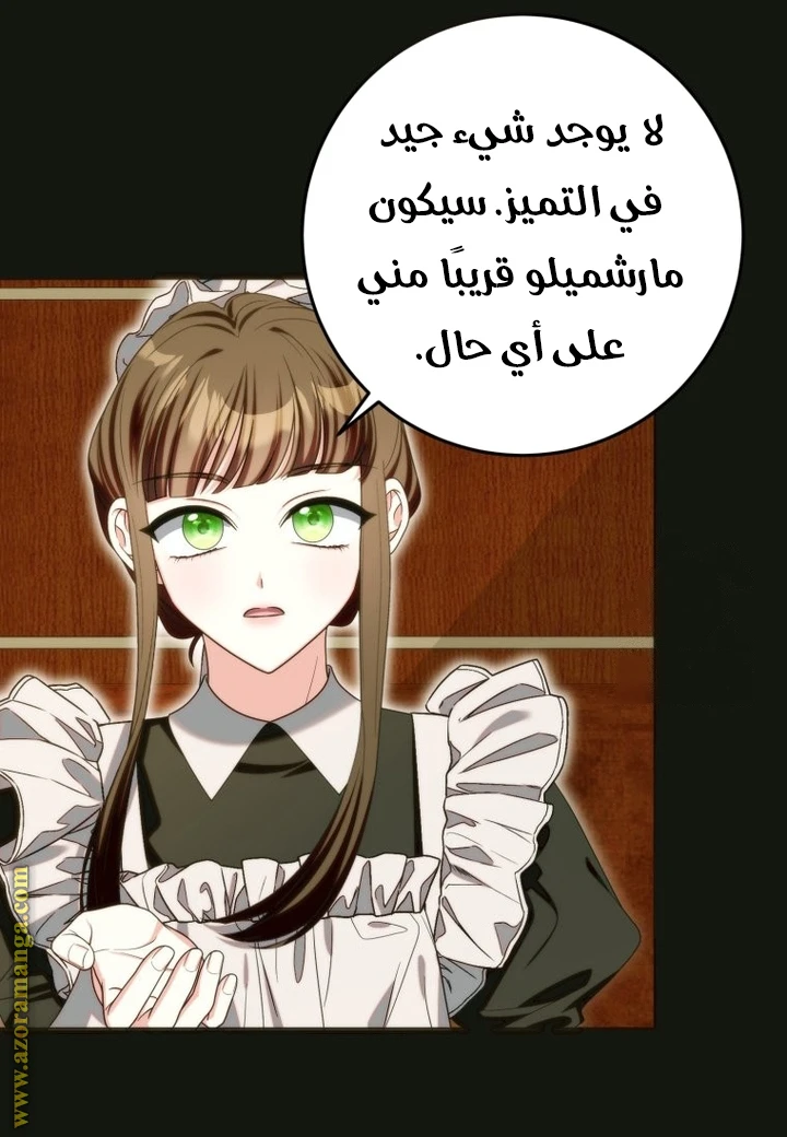 الصفحة 24