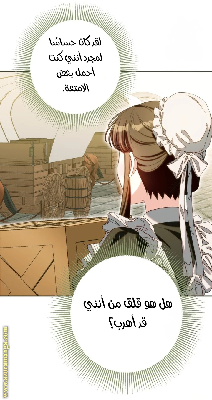 الصفحة 27