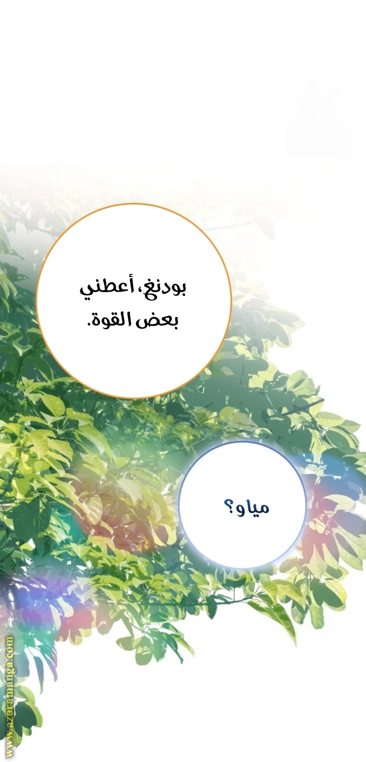 الصفحة 29