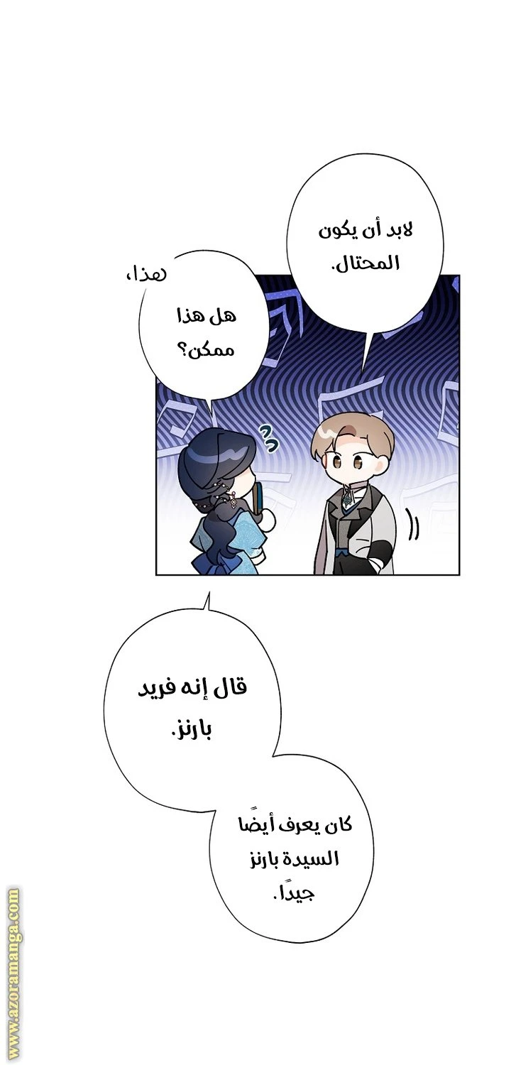 الصفحة 19