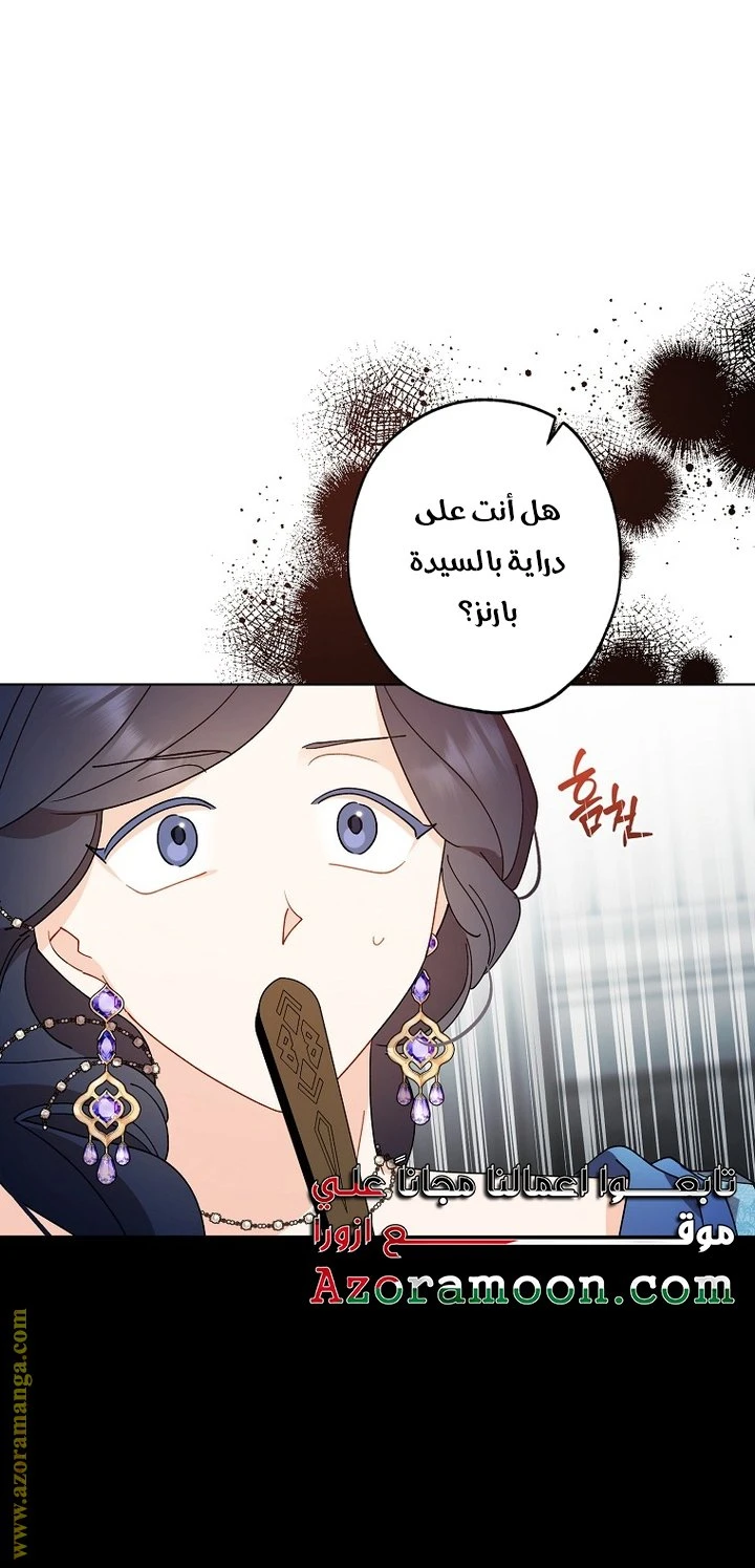 الصفحة 27