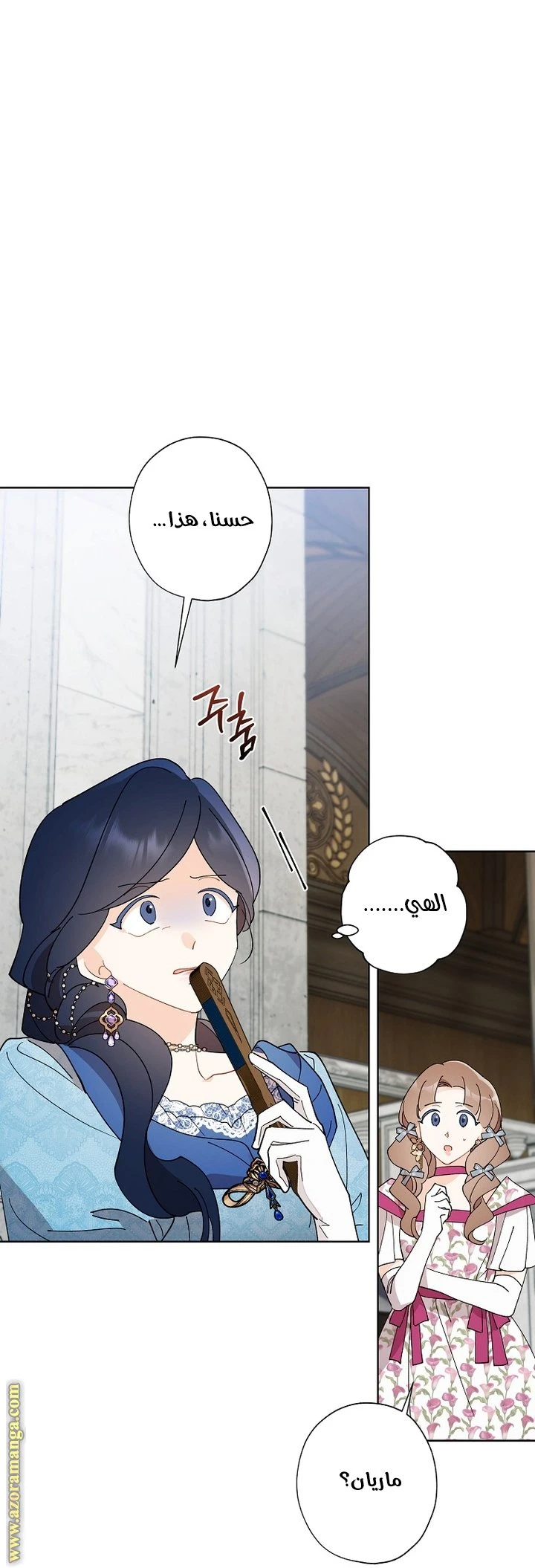 الصفحة 29