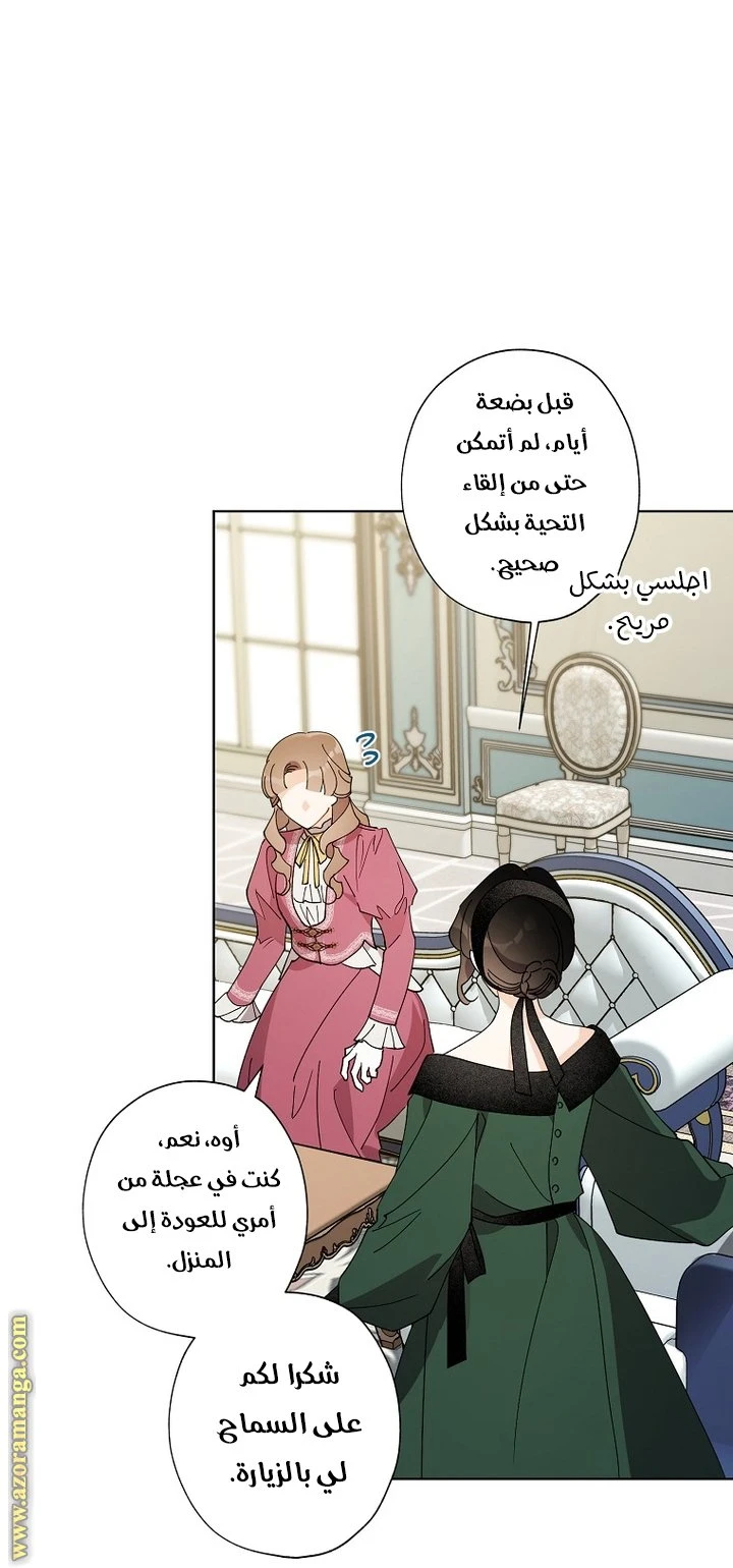 الصفحة 41