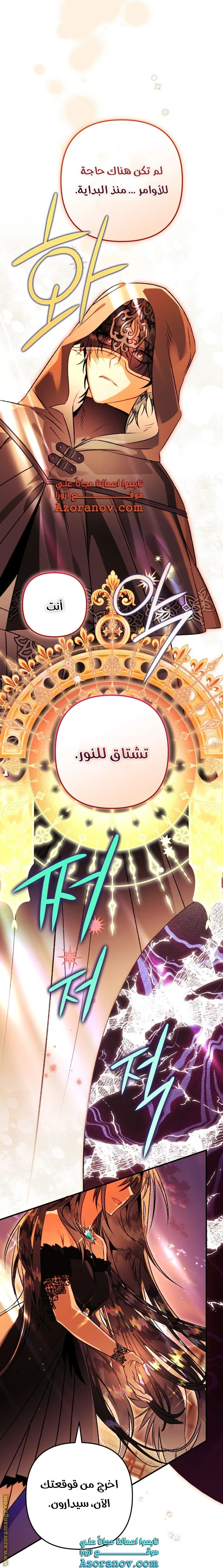 الصفحة 13