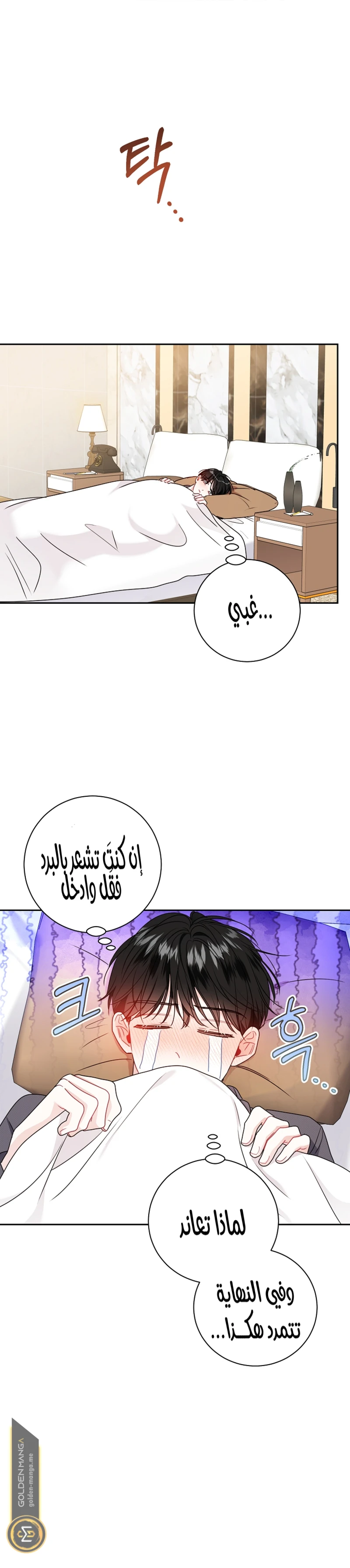 الصفحة 5