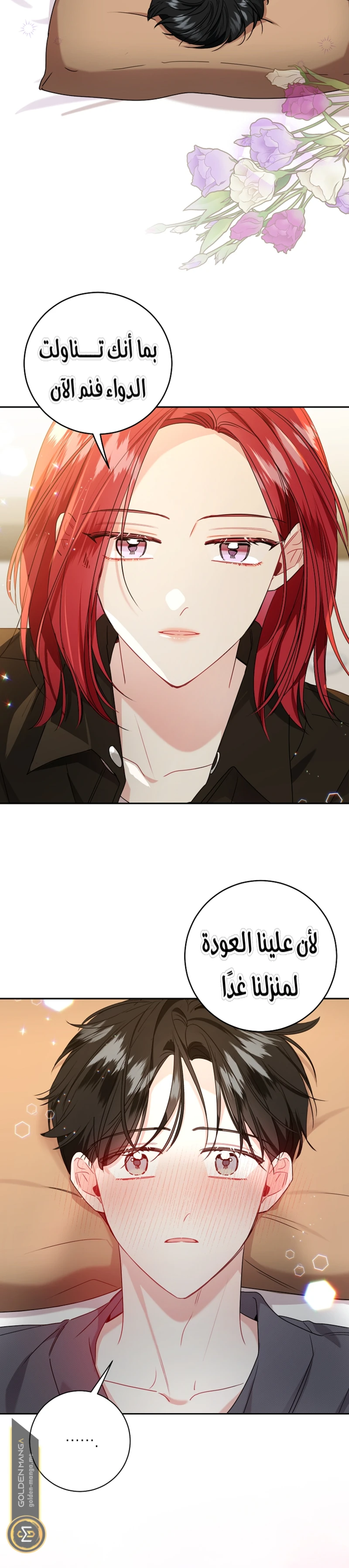 الصفحة 11