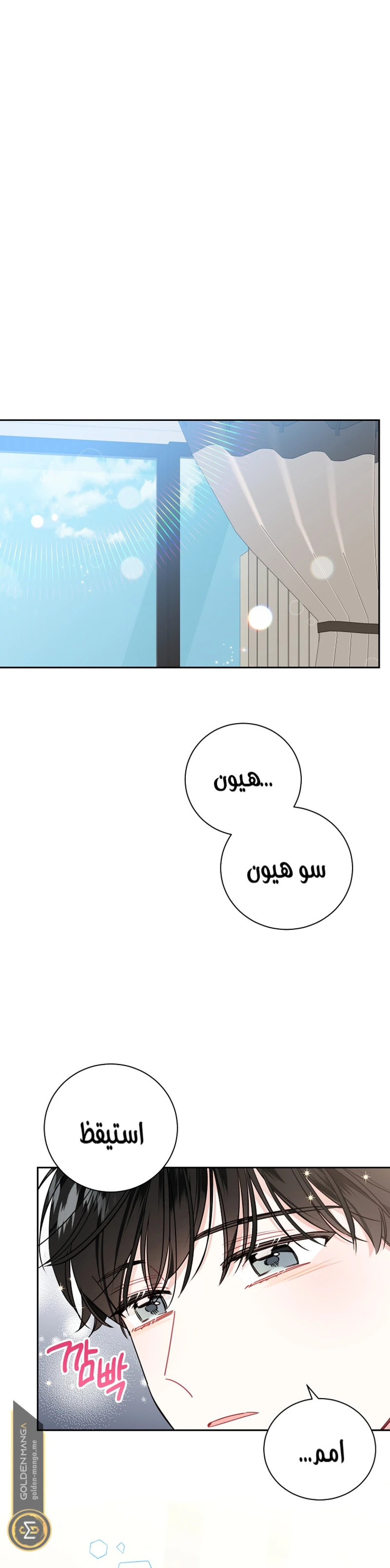 الصفحة 17