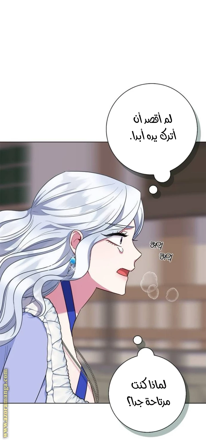 الصفحة 27
