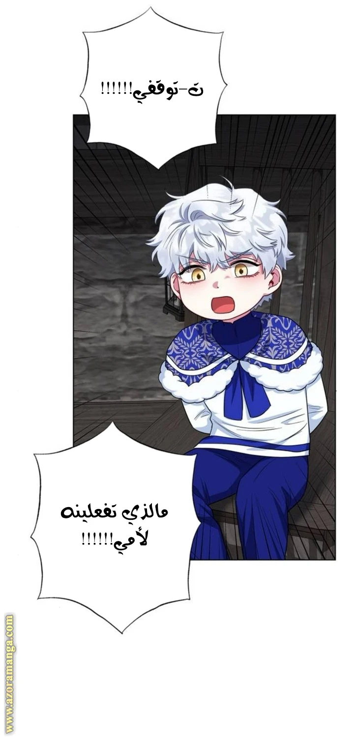 الصفحة 40