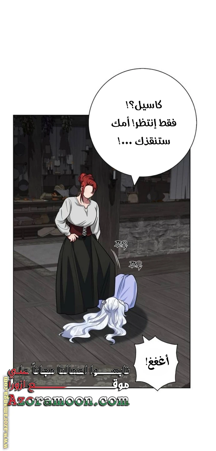الصفحة 41