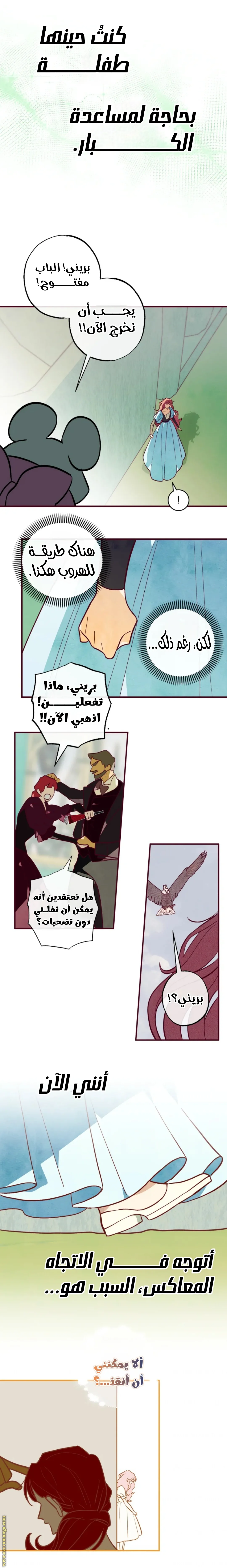 الصفحة 8