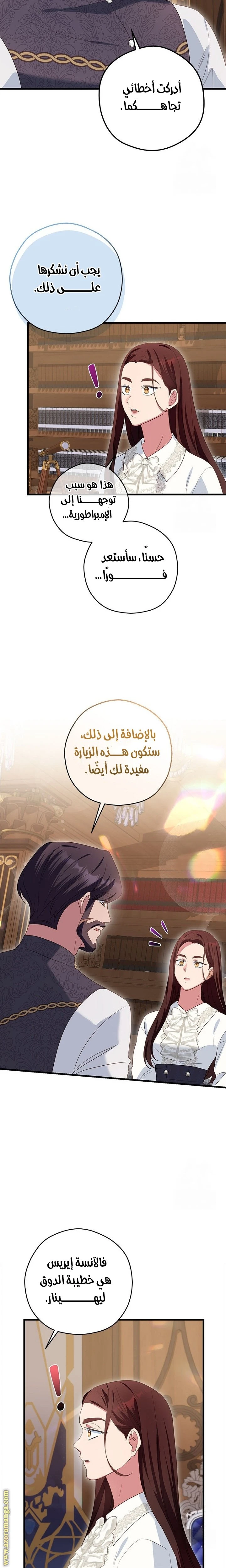 الصفحة 17