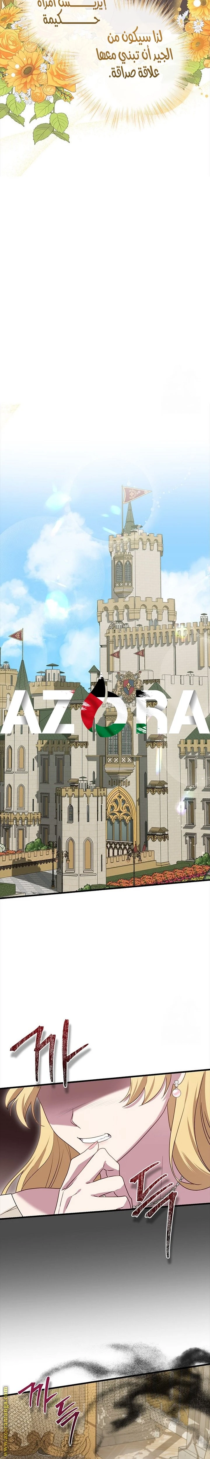 الصفحة 19