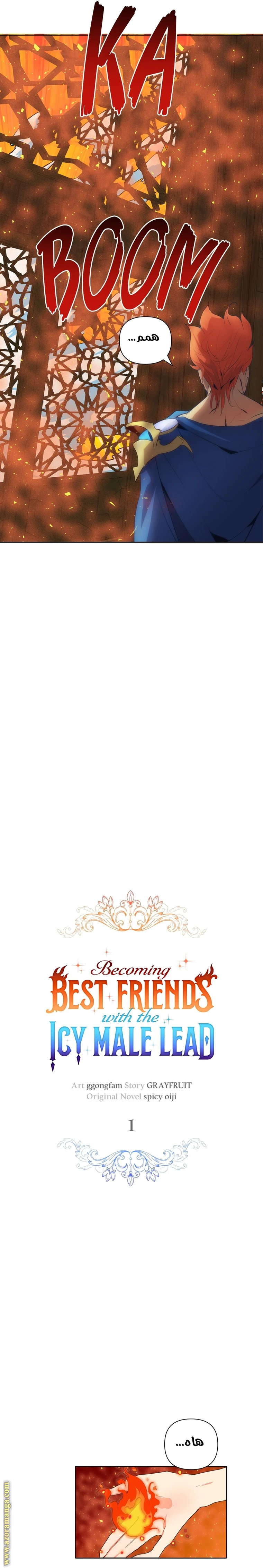 الصفحة 11