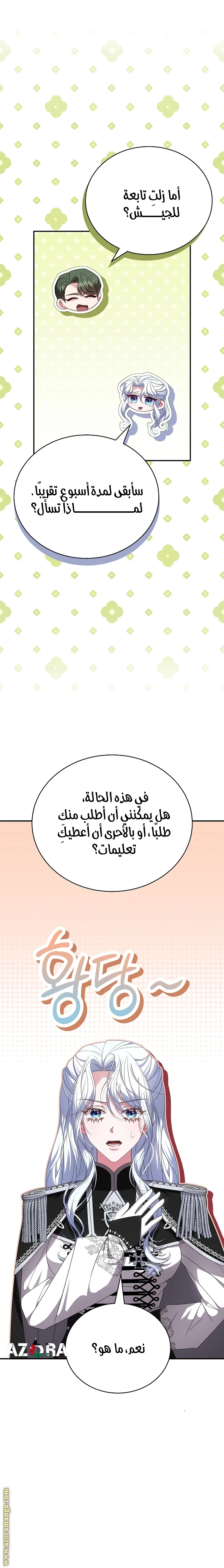 الصفحة 17