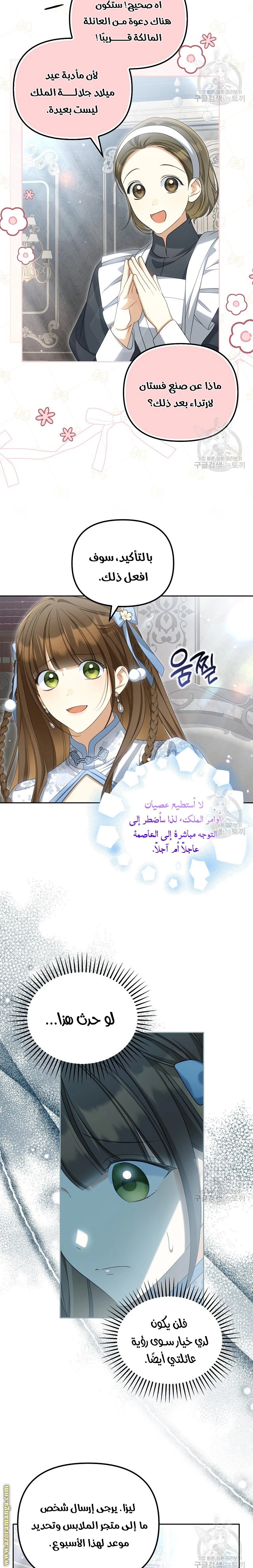 الصفحة 17