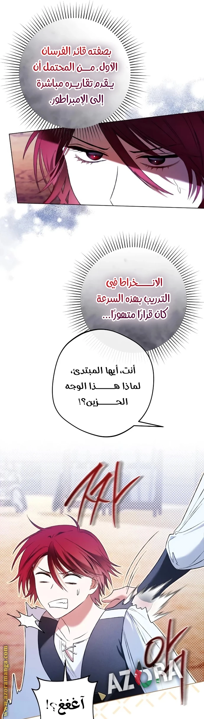 الصفحة 11