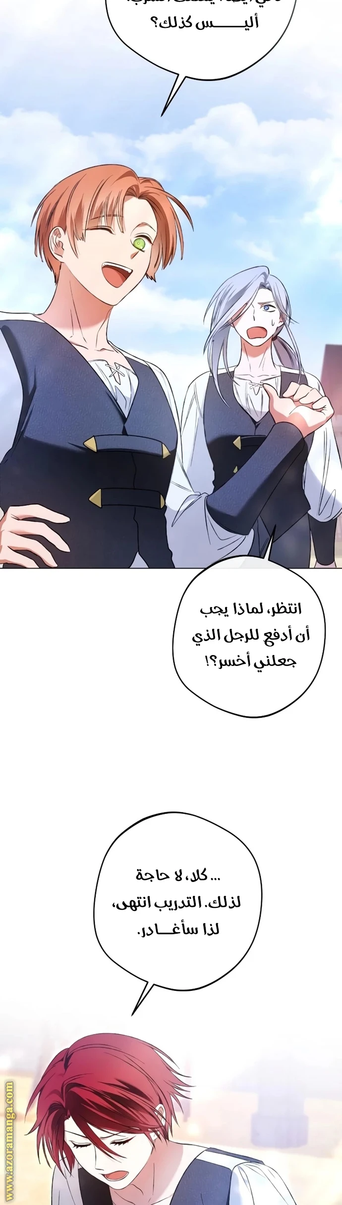 الصفحة 13
