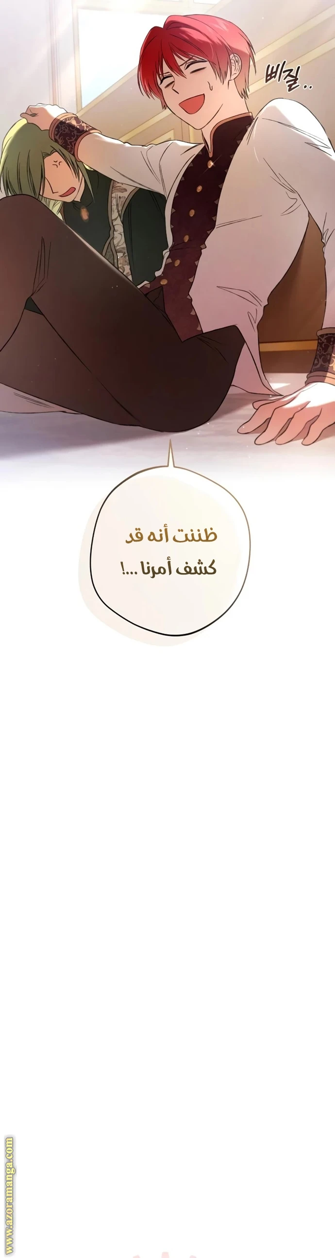 الصفحة 31