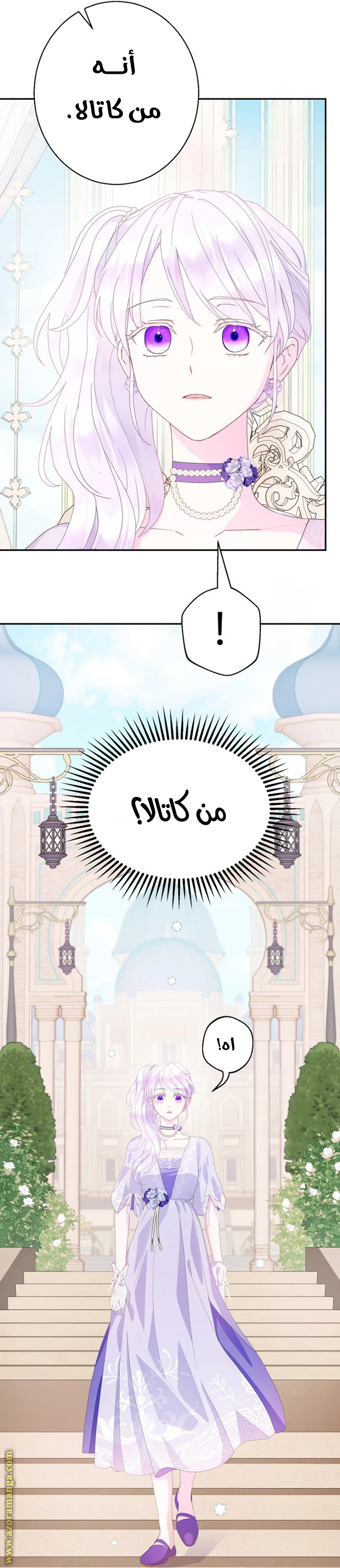 الصفحة 17